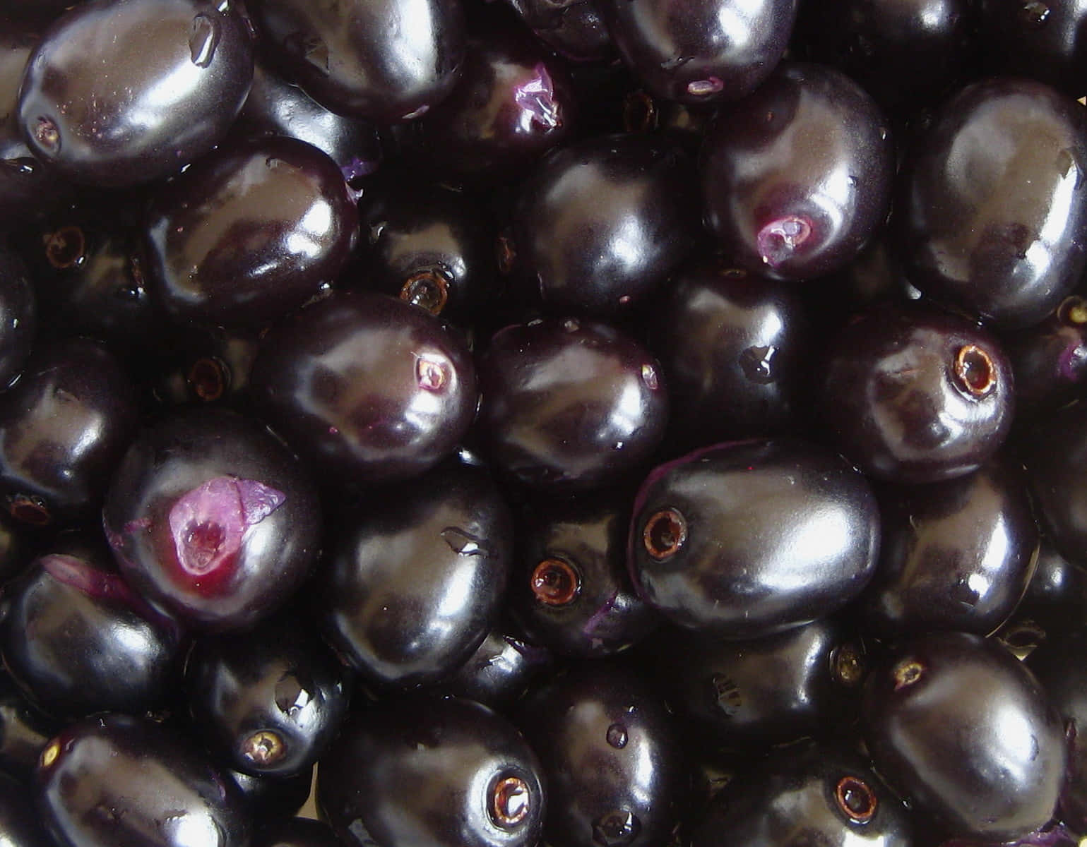 Freshly Washed Glossy Java Plums Background