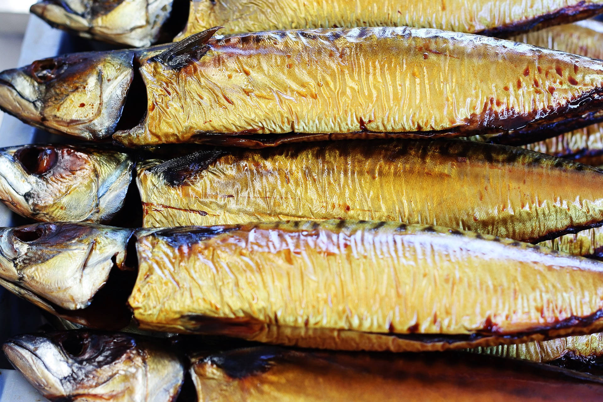 Fried Mackerel In Stainless Plate Background