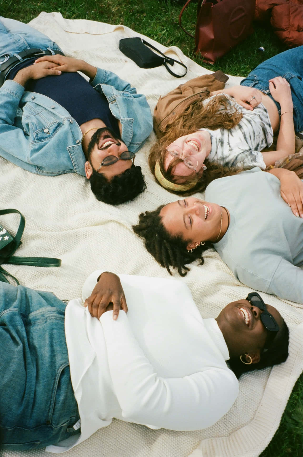 Friends Relaxingat Picnic Background