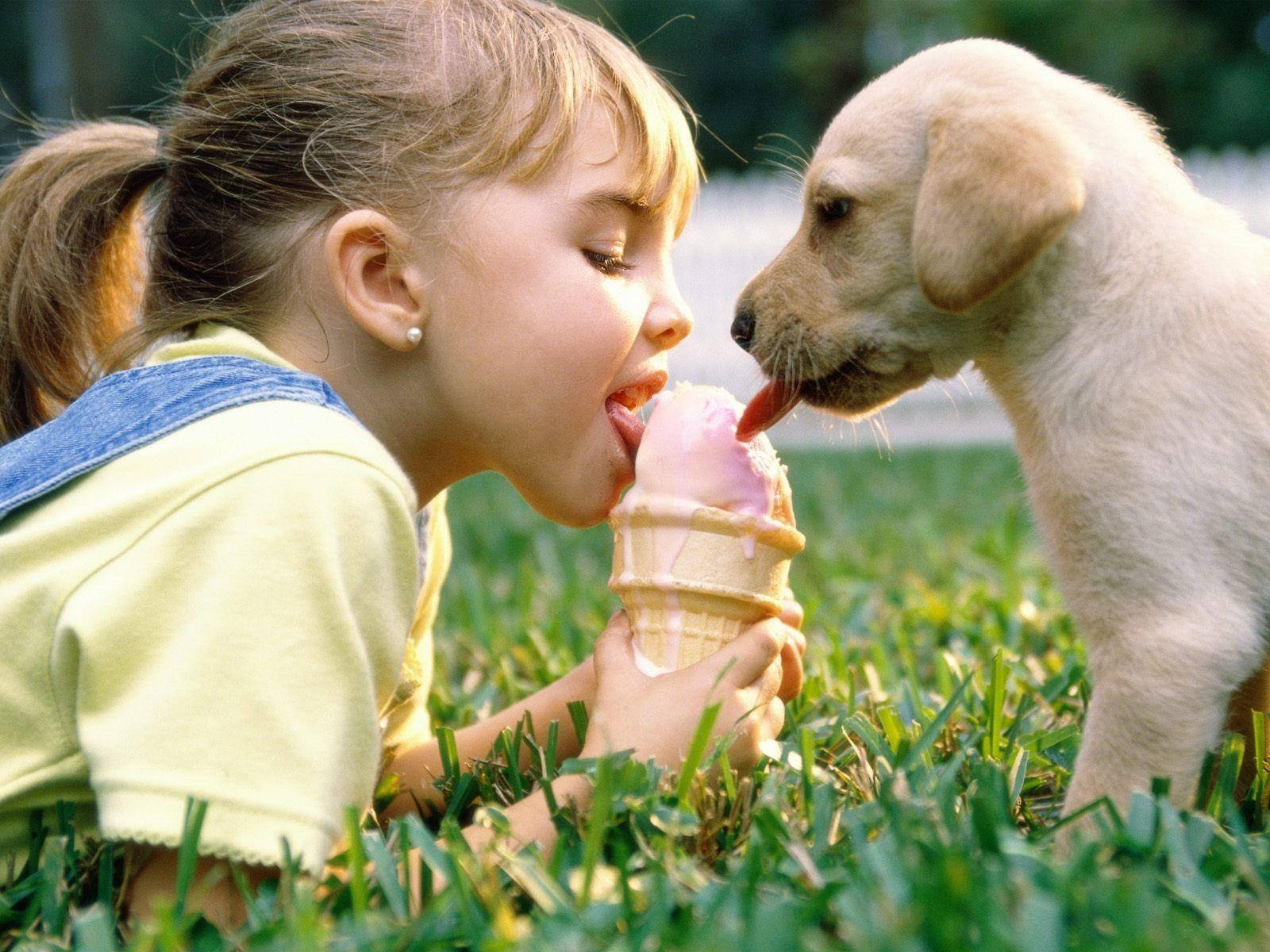 Friendship Of Girl And Puppy Background