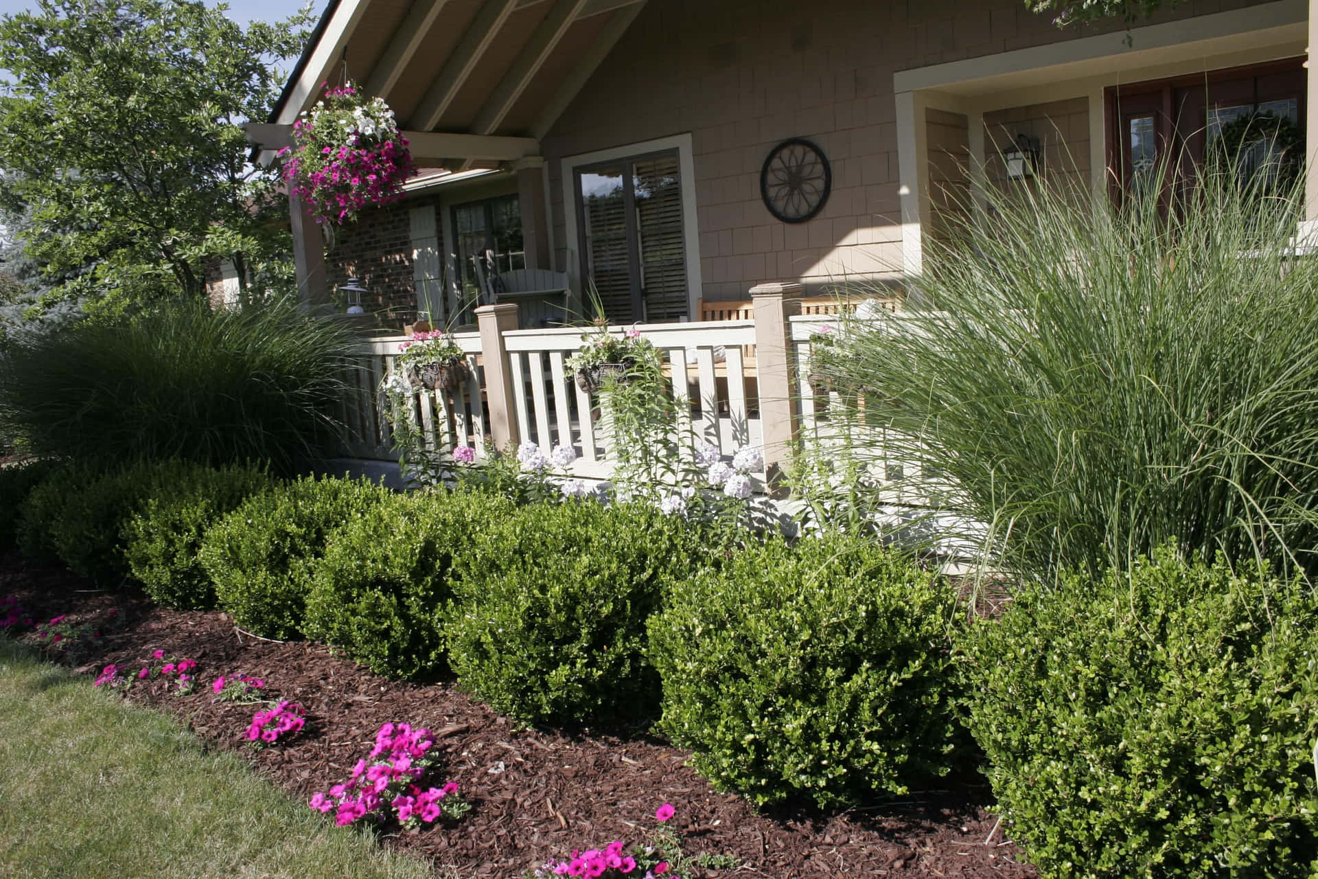 Front Lawn Planted Bushes With Flowers Background