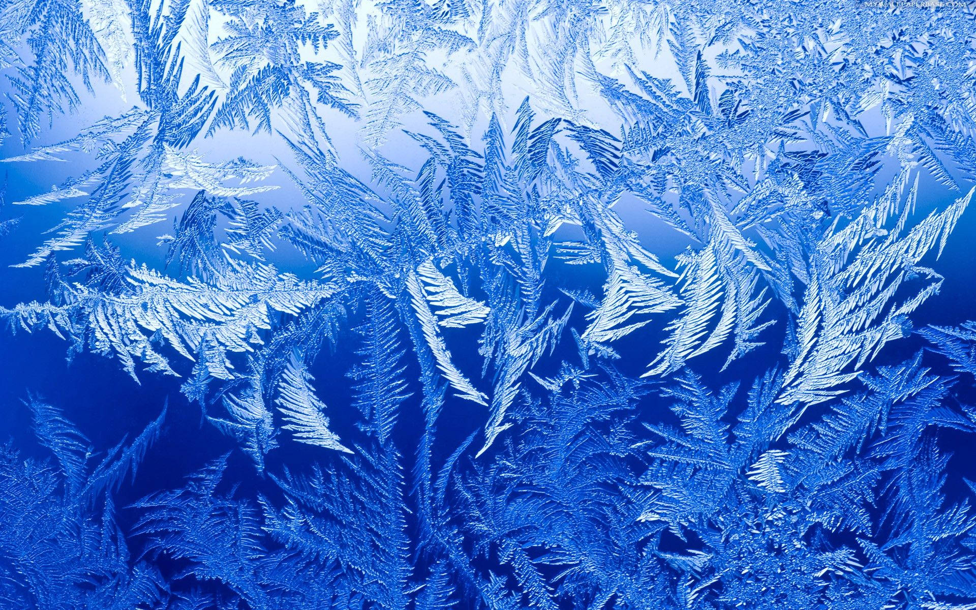 Frost Ice Crystals Pattern Background