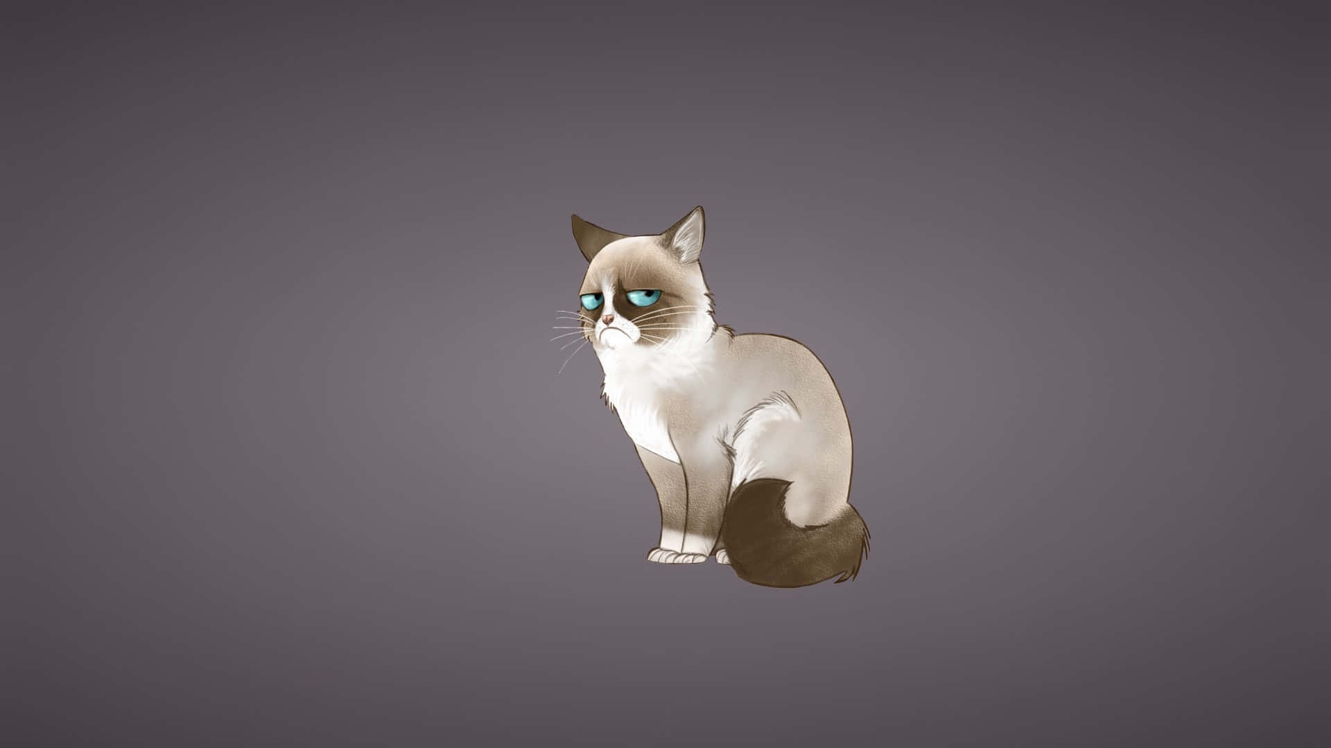 Frowning Grumpy Cat Background