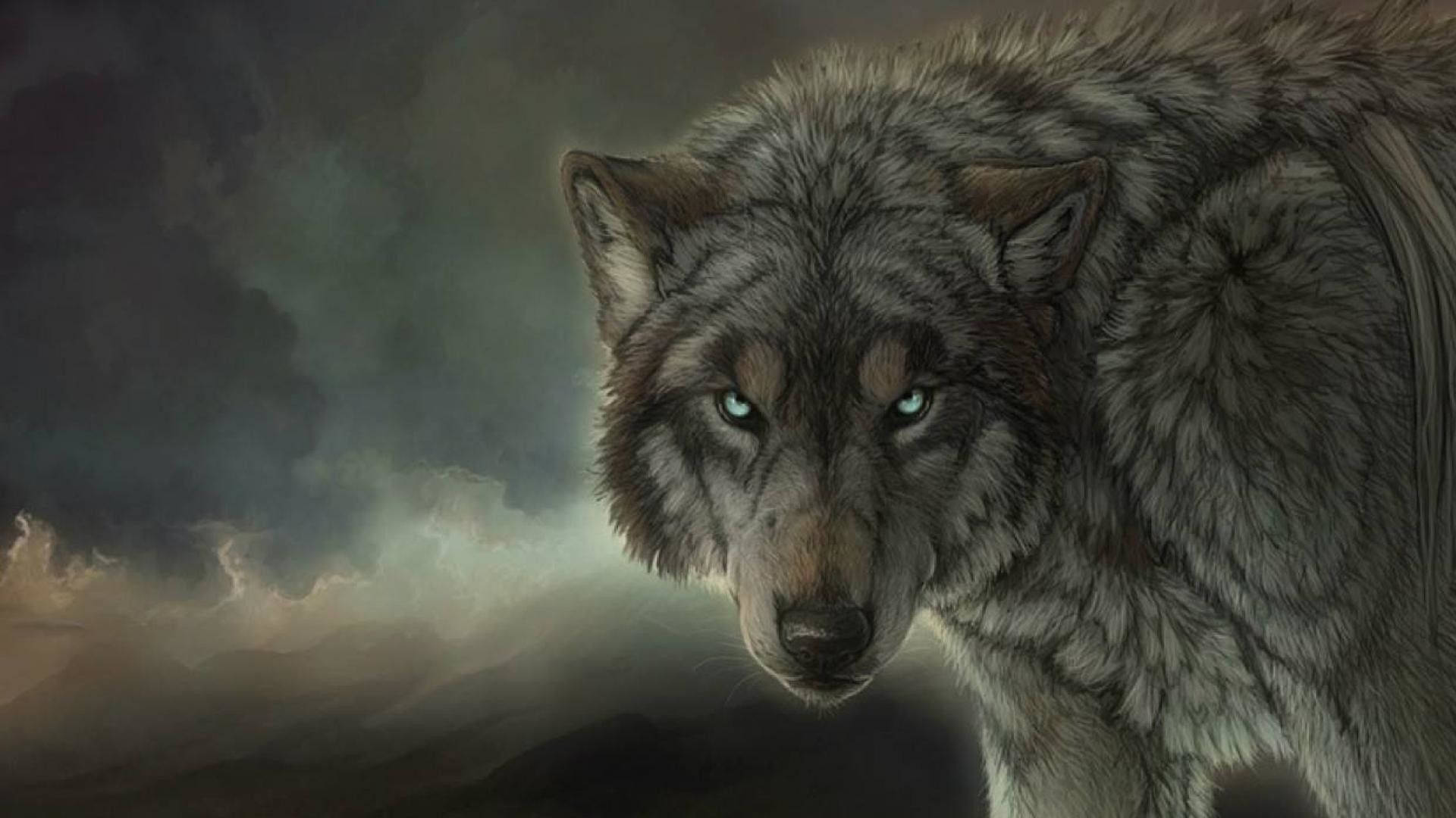 Frowning Wolf Desktop Background