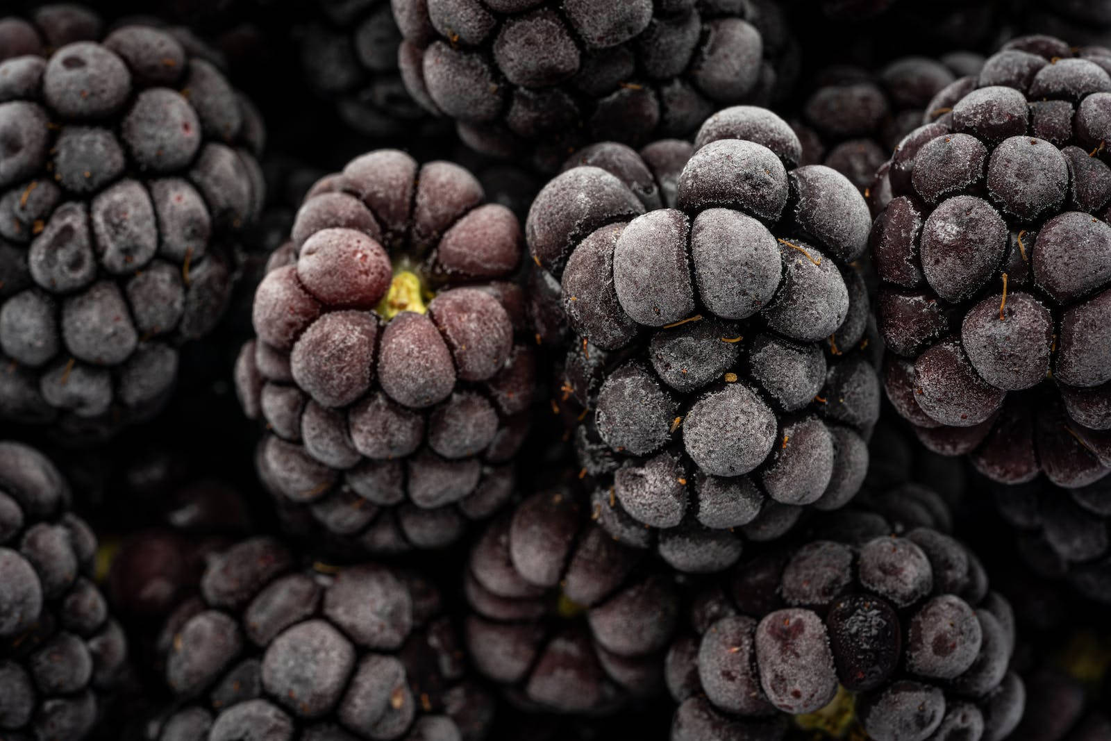 Frozen Blackberries Fruit Food Desktop Background