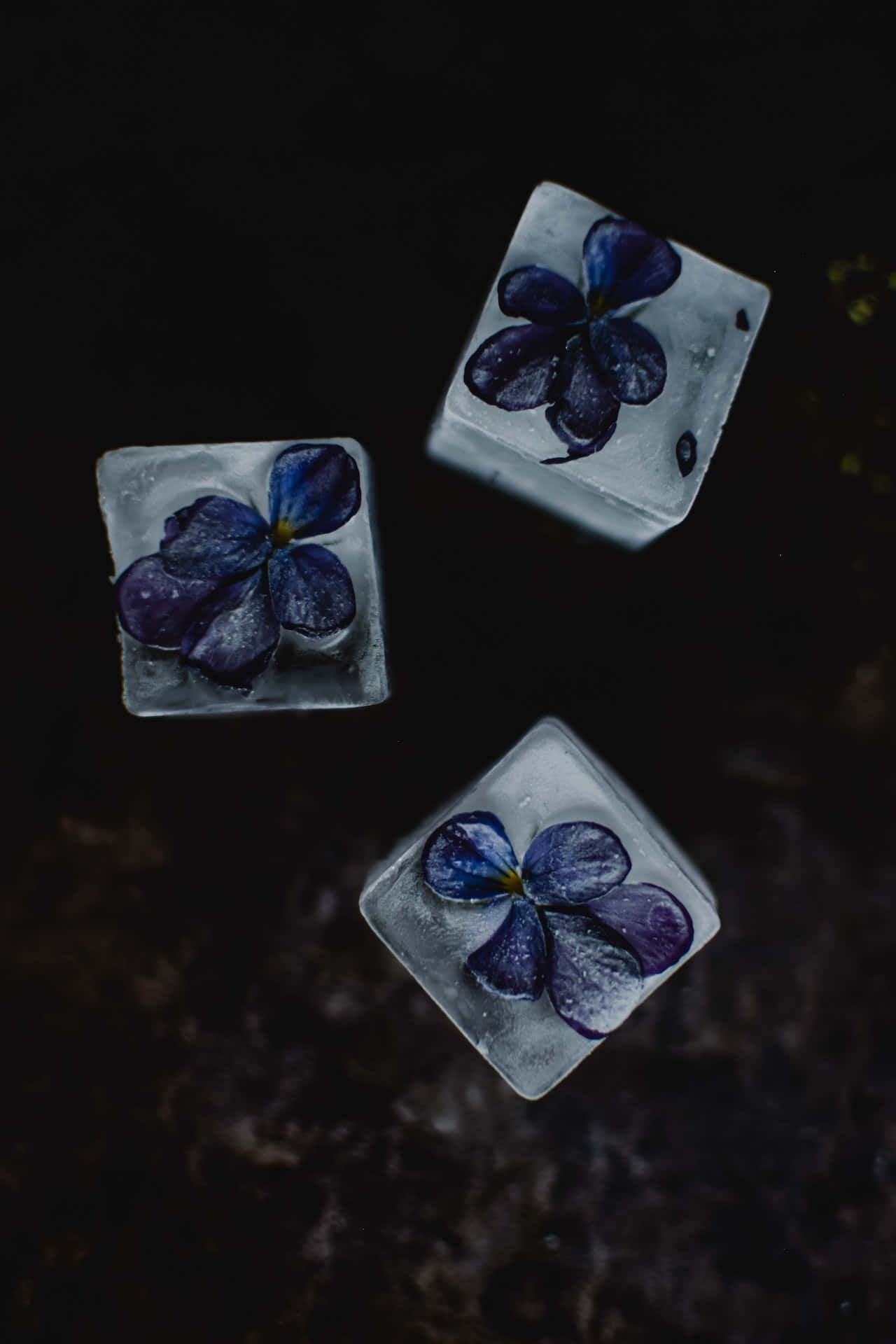 Frozen Blue Flowers Phone Background