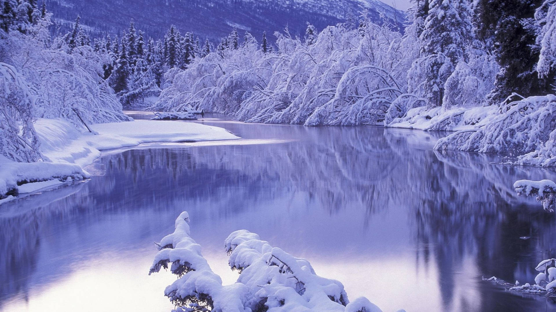 Frozen Lake Nature Scenery Background