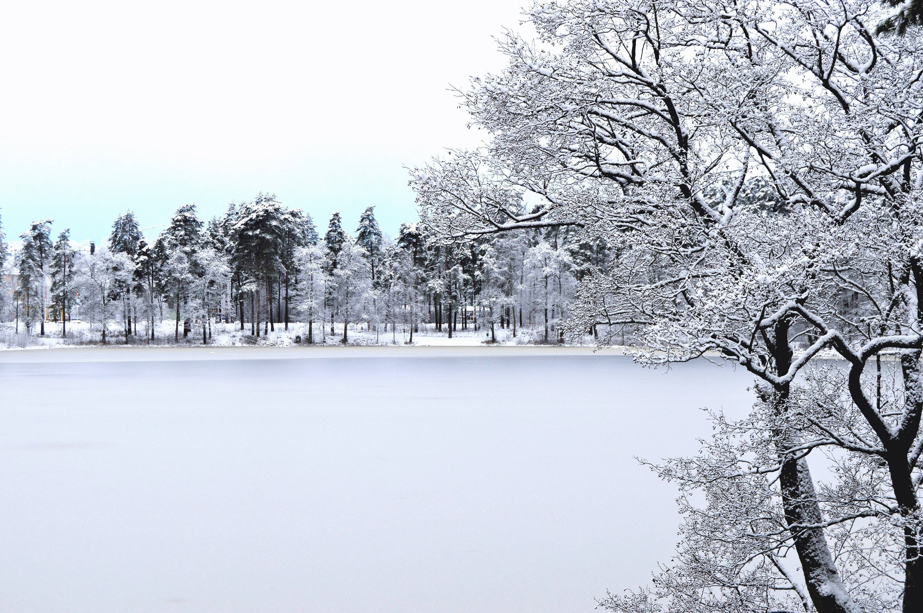 Frozen Lake Winter Scenery Background