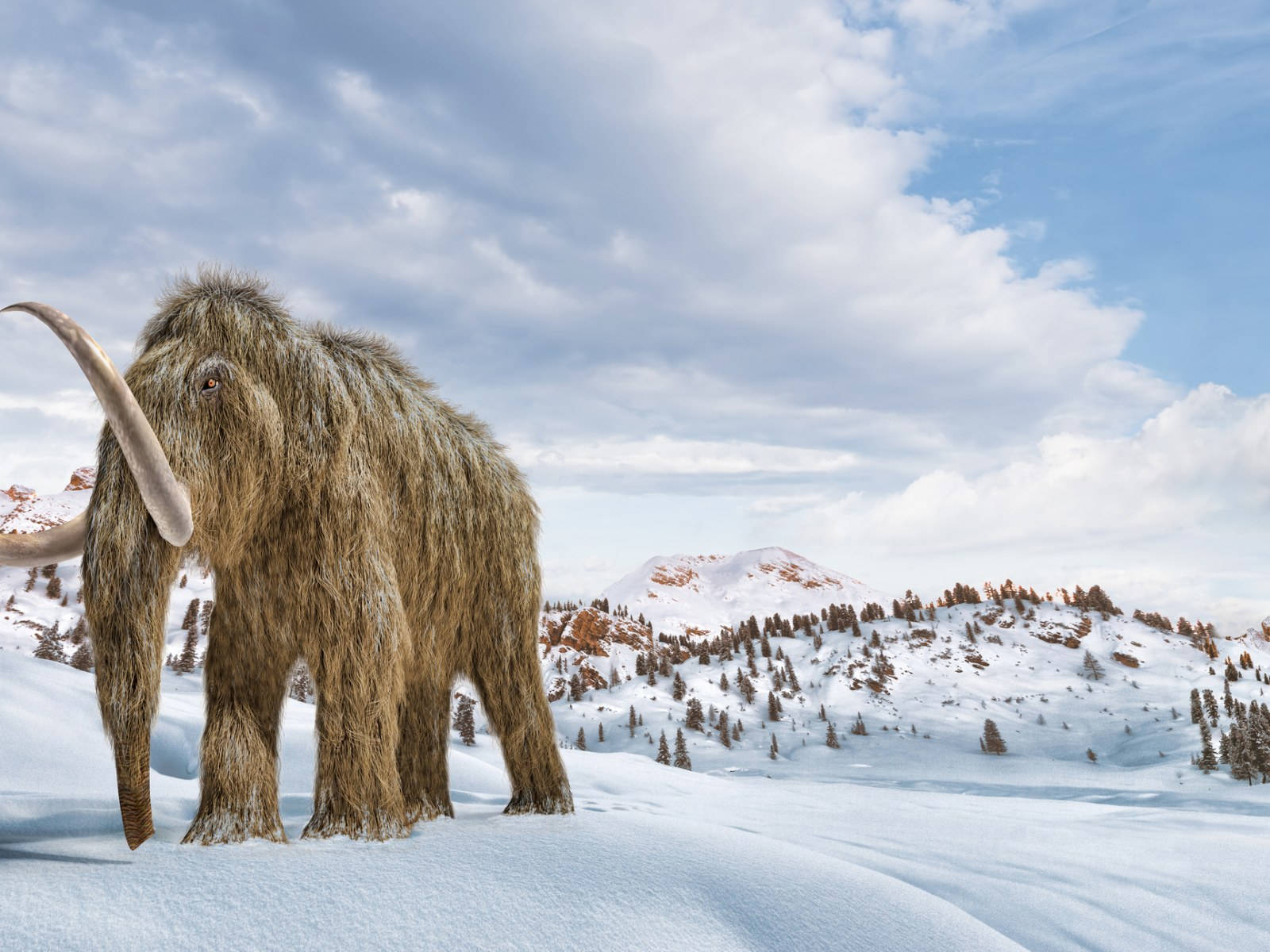 Frozen Landscape With Giant Mammoth Background