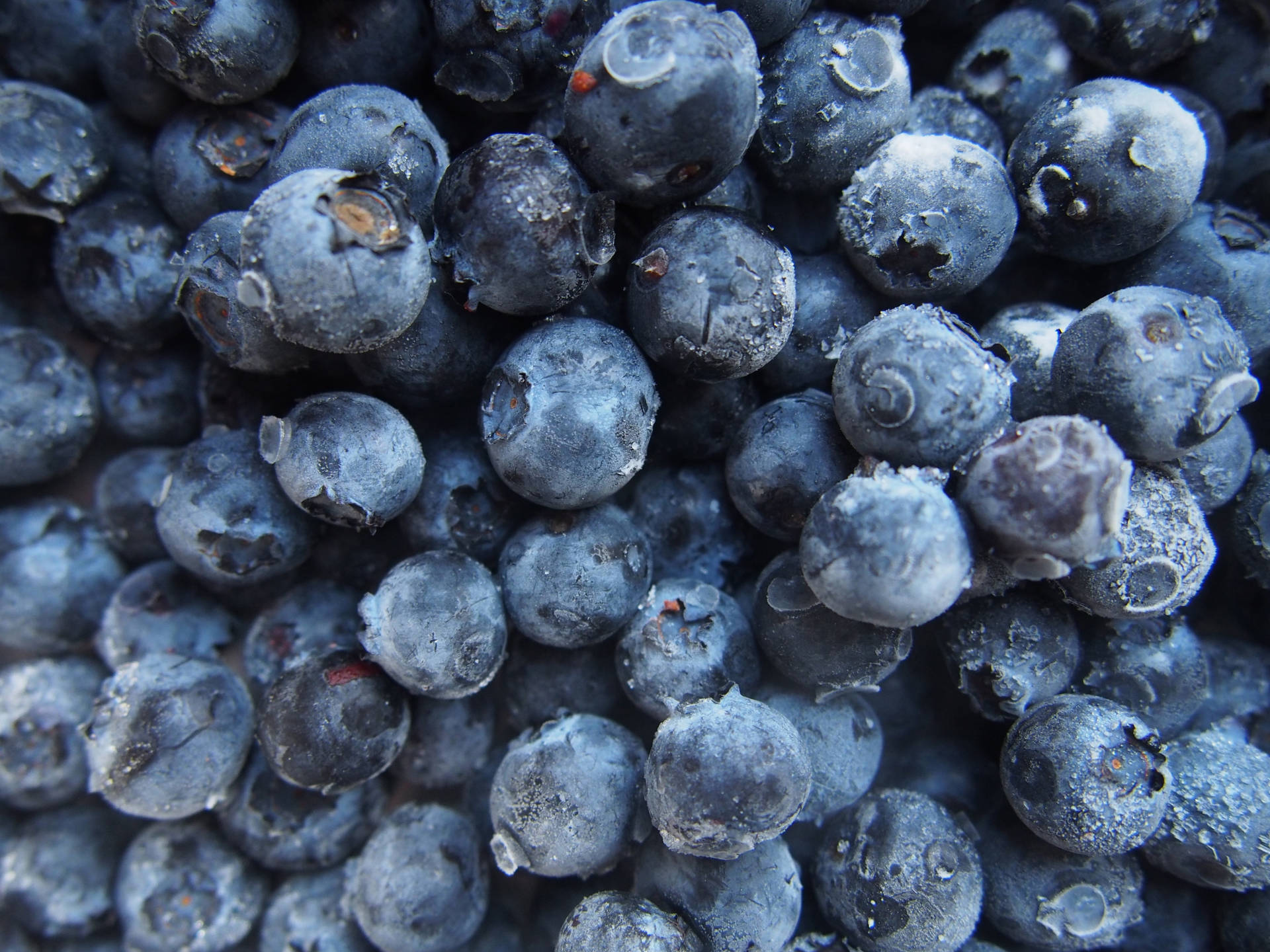 Frozen Ripe Huckleberry Background