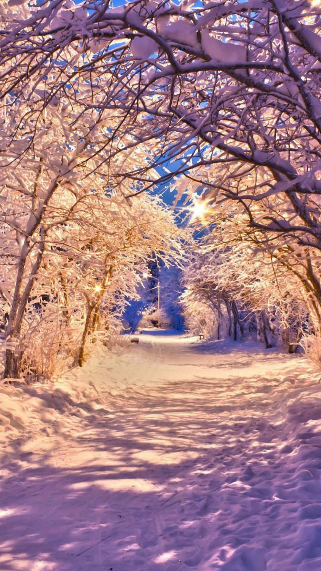 Frozen Winter Delight With A Snow Iphone Background