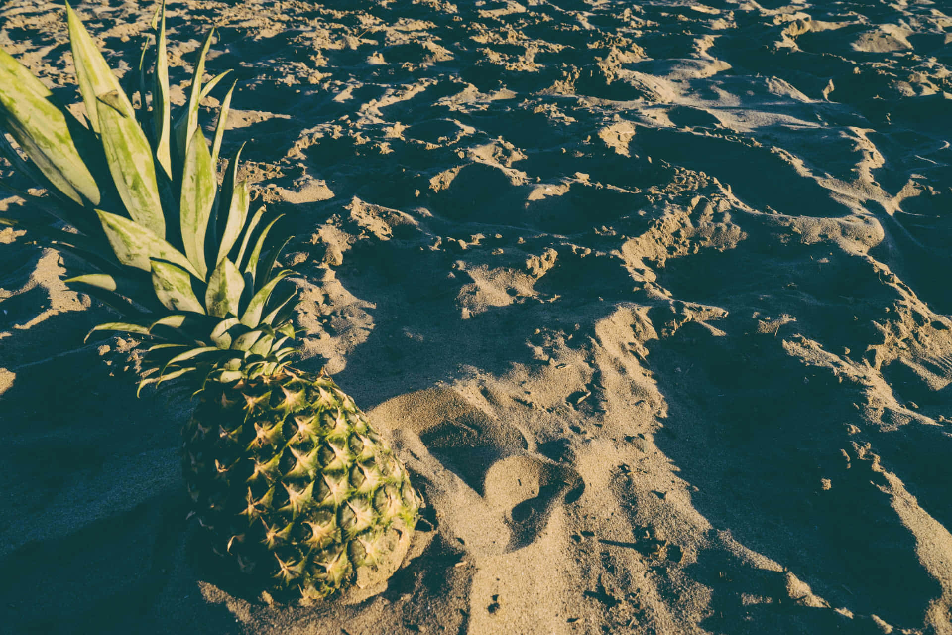 Fruit On Beach Aesthetic Tumblr Background