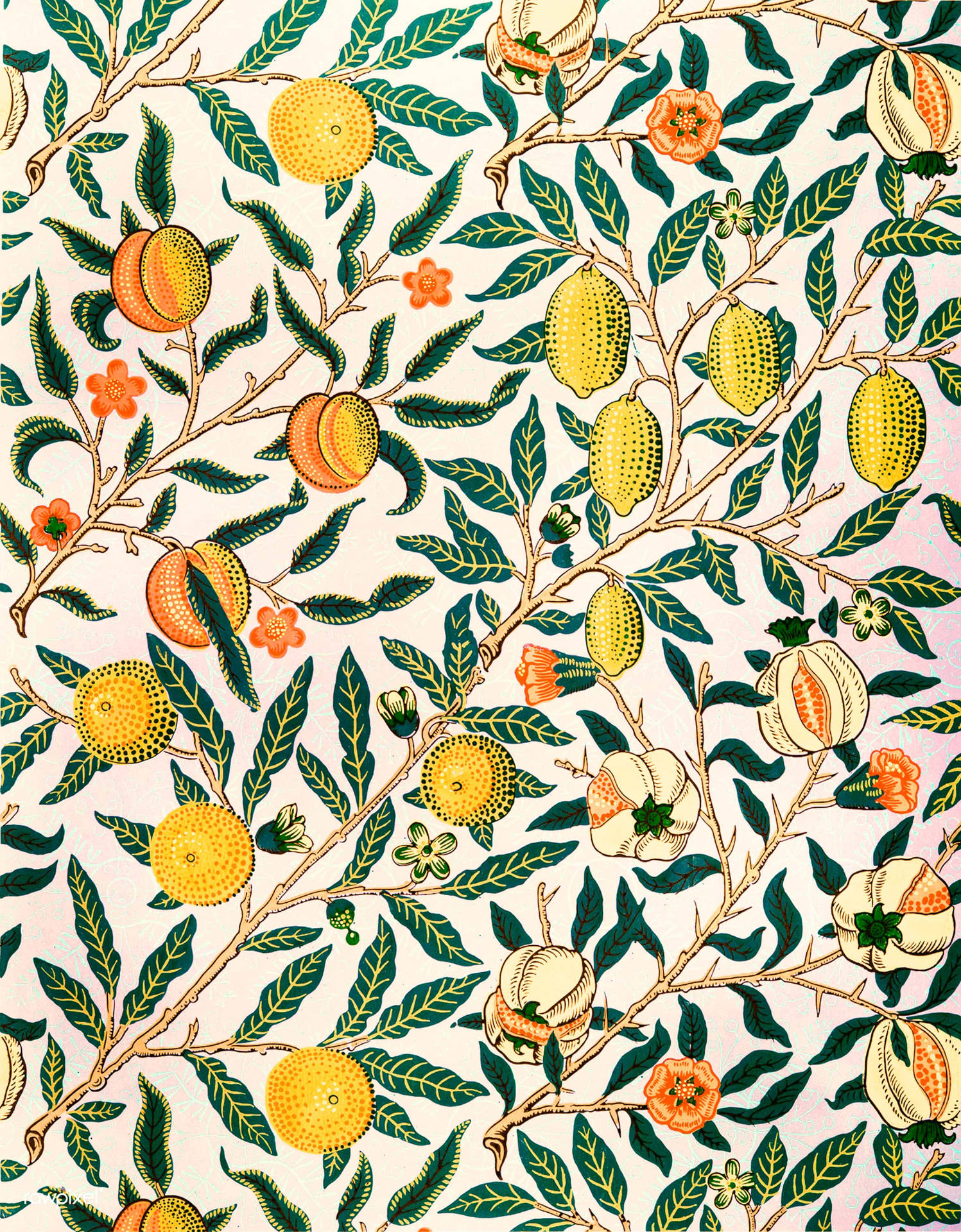 Fruits Pattern Design Background
