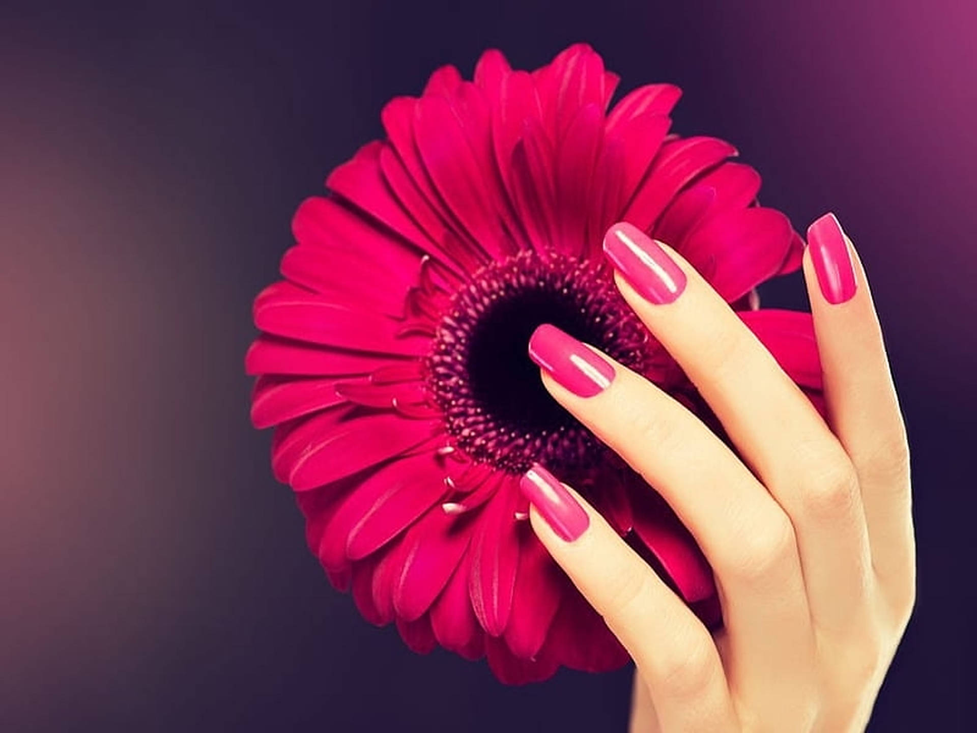 Fuchsia Pink Nails Background