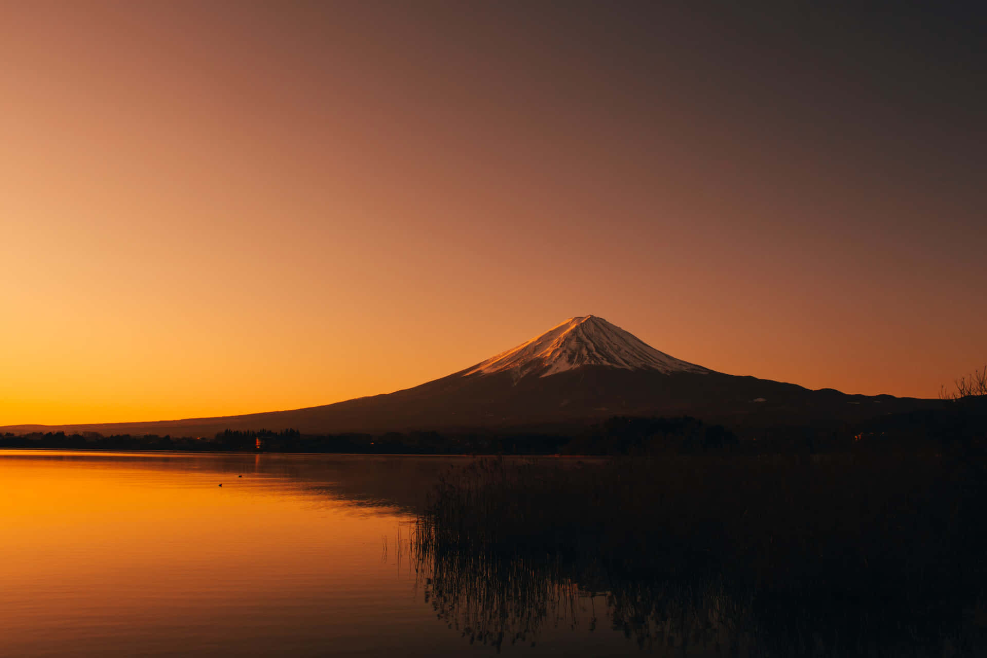 Fuji-san On Orange Dusk Background