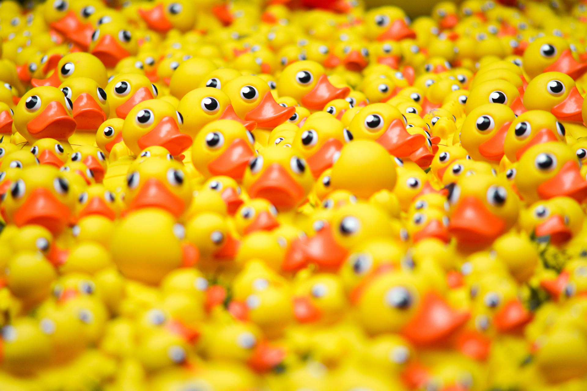 Full 4k Desktop Image Of Colorful Rubber Ducks Background