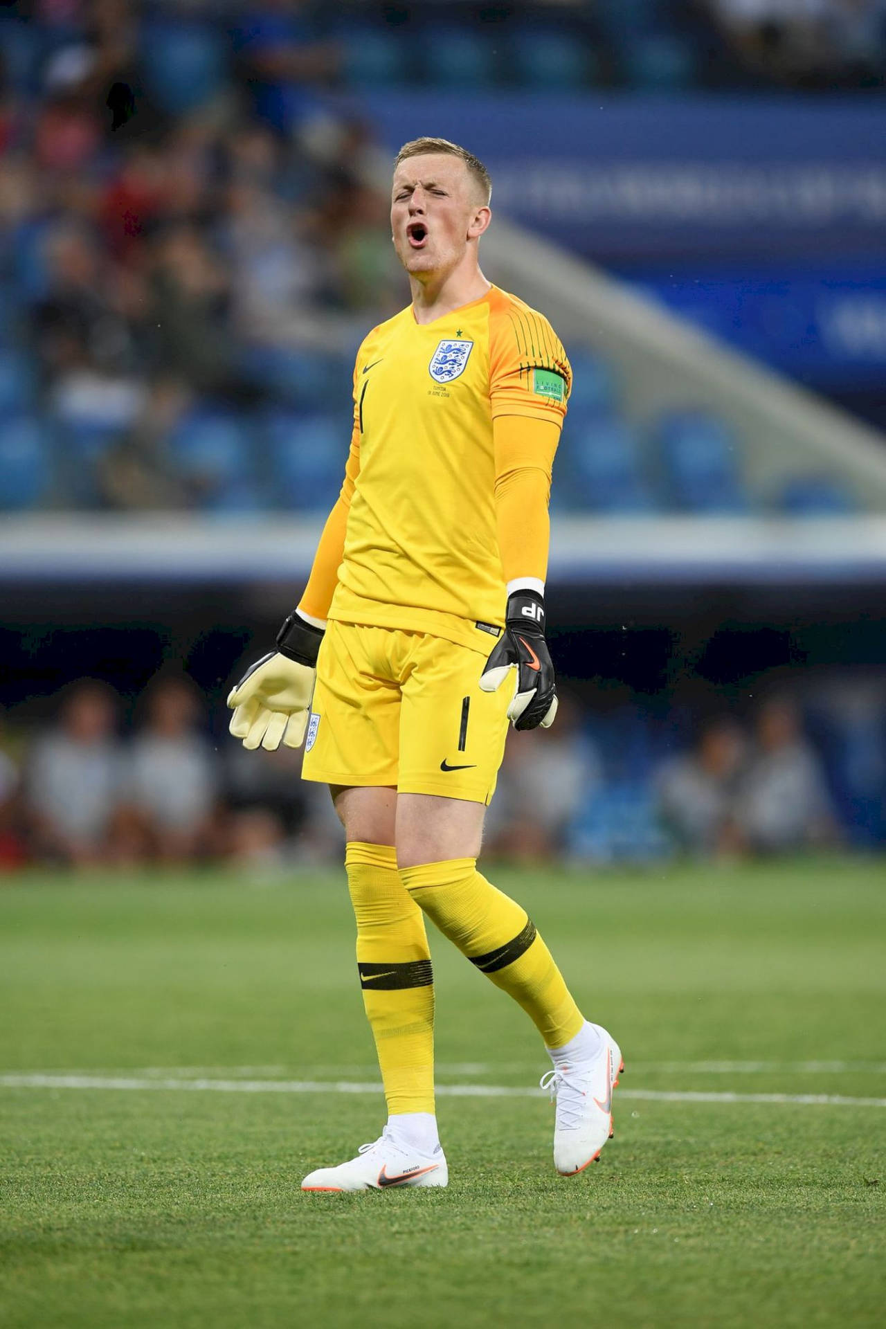 Full Body Jordan Pickford In Yellow Background