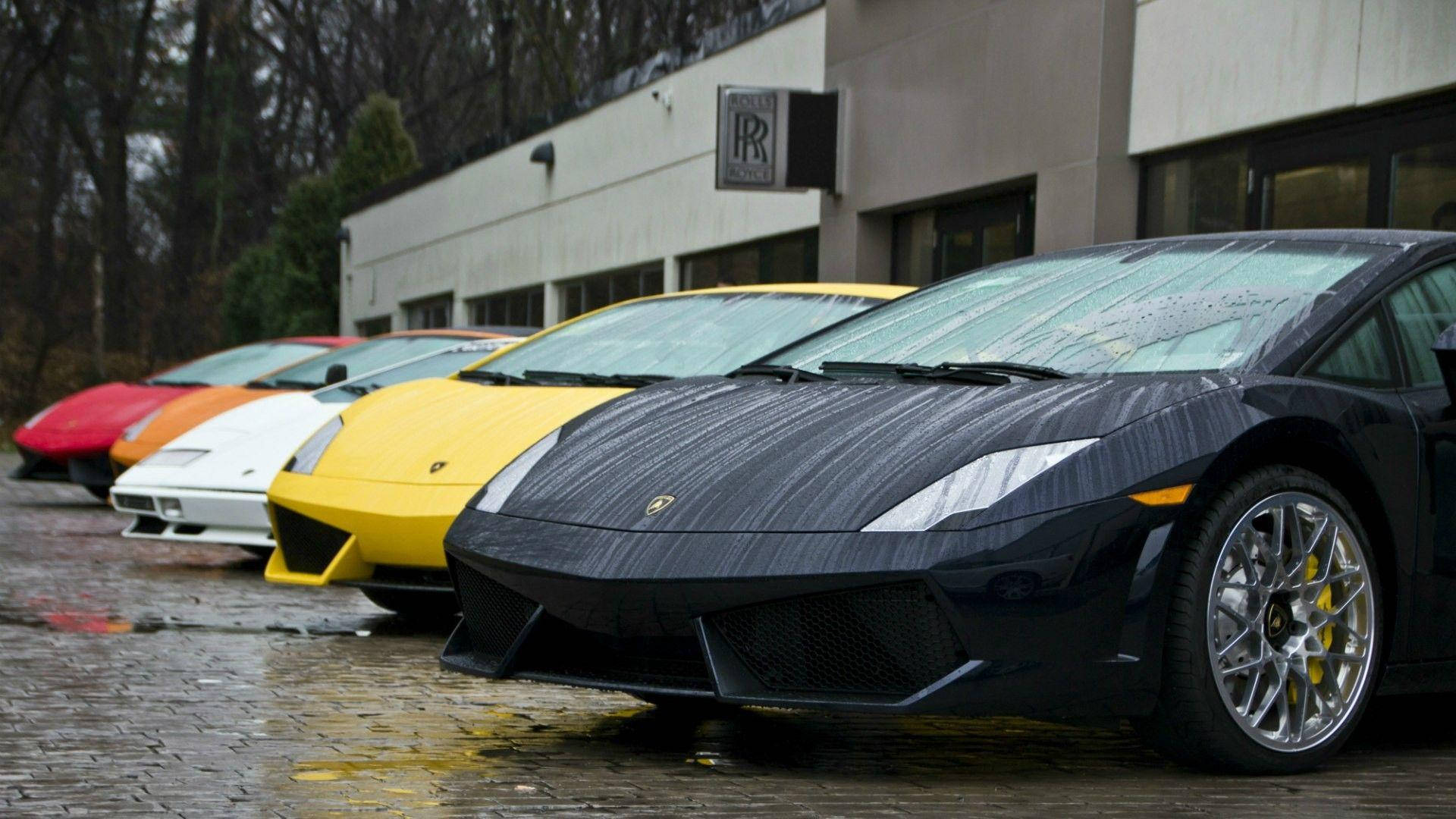 Full Hd Car Colourful Lamborghinis Background