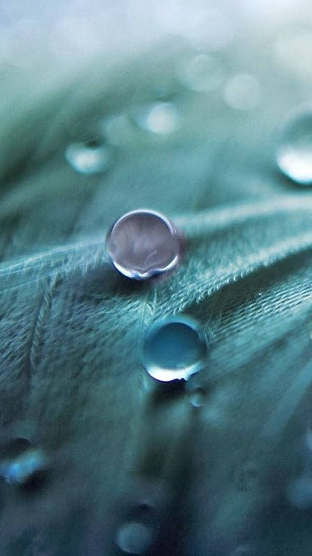 Full Hd Dew Drops On Leaf Android Background