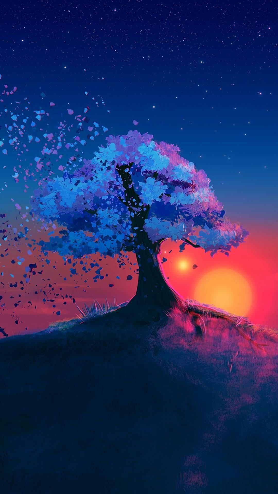 Full Hd Tablet Sunset Tree Background