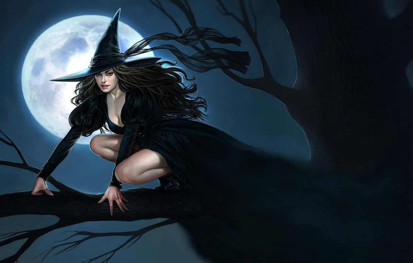 Full Moon Halloween Witch On Tree Background
