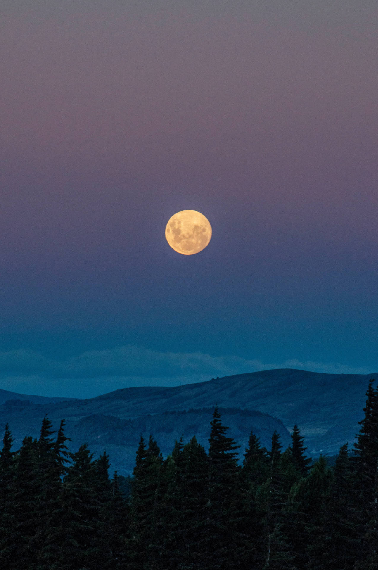 Full Moon Horizon Background