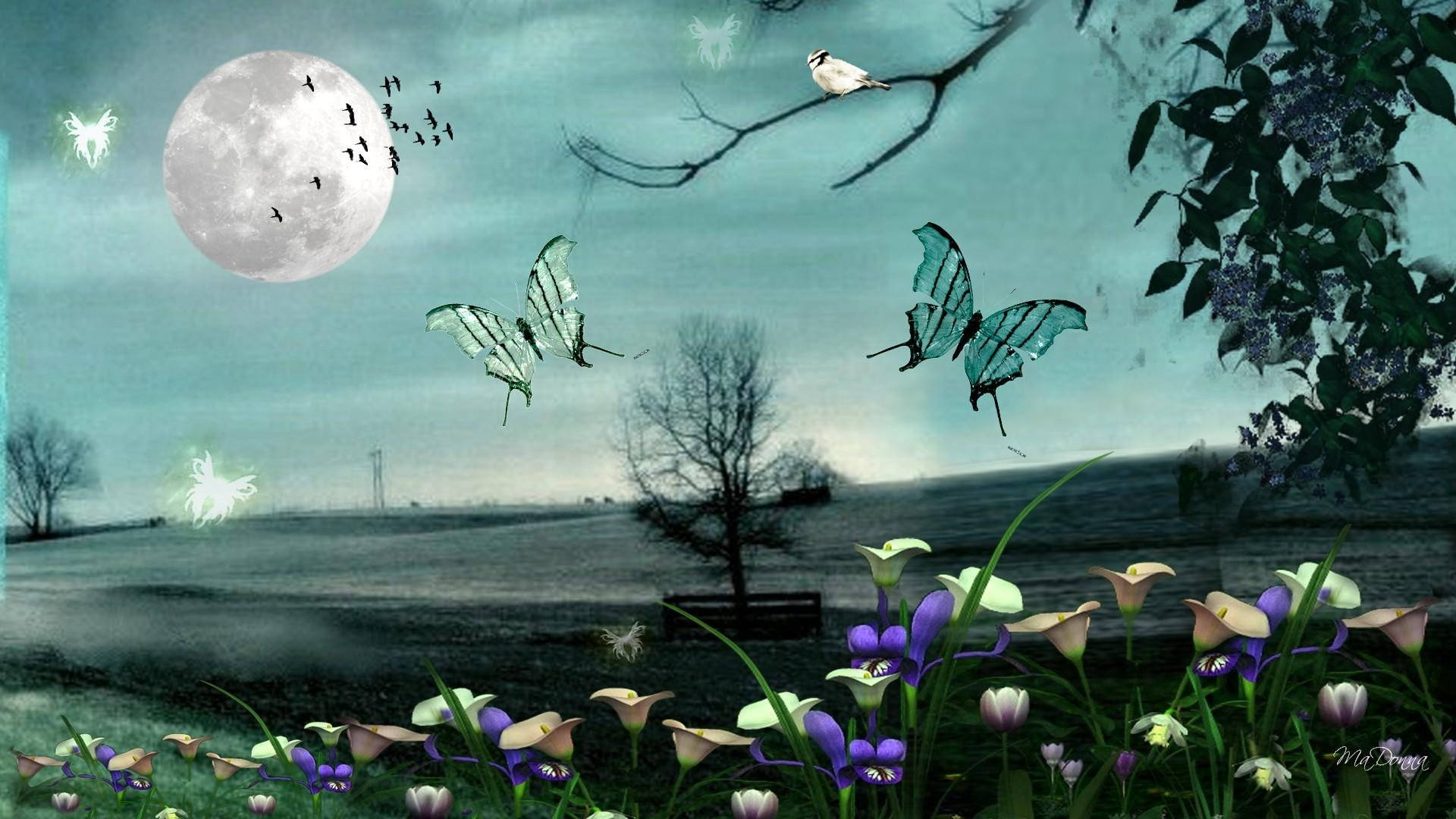Full Moon Night Butterfly Meadow Background