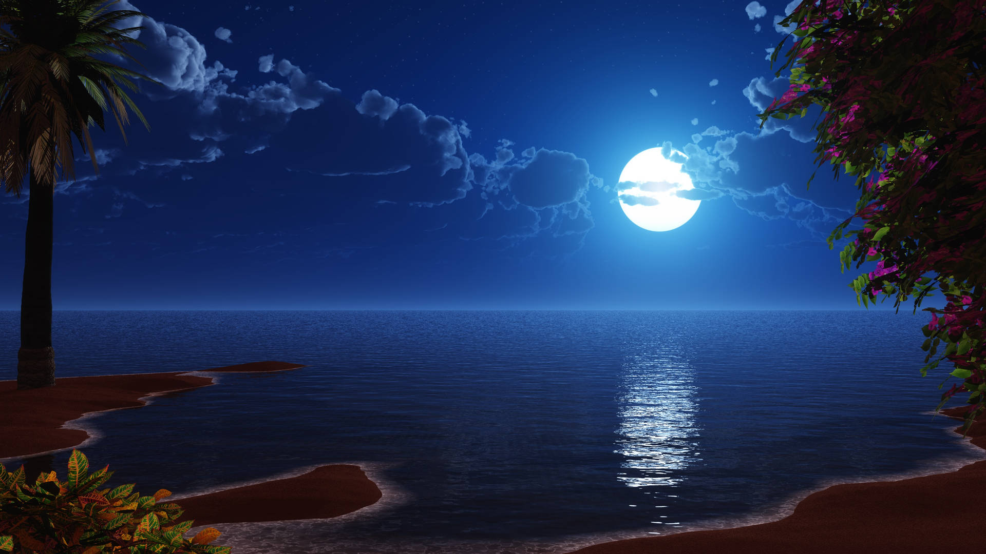 Full Moon Ocean Beach Night Background