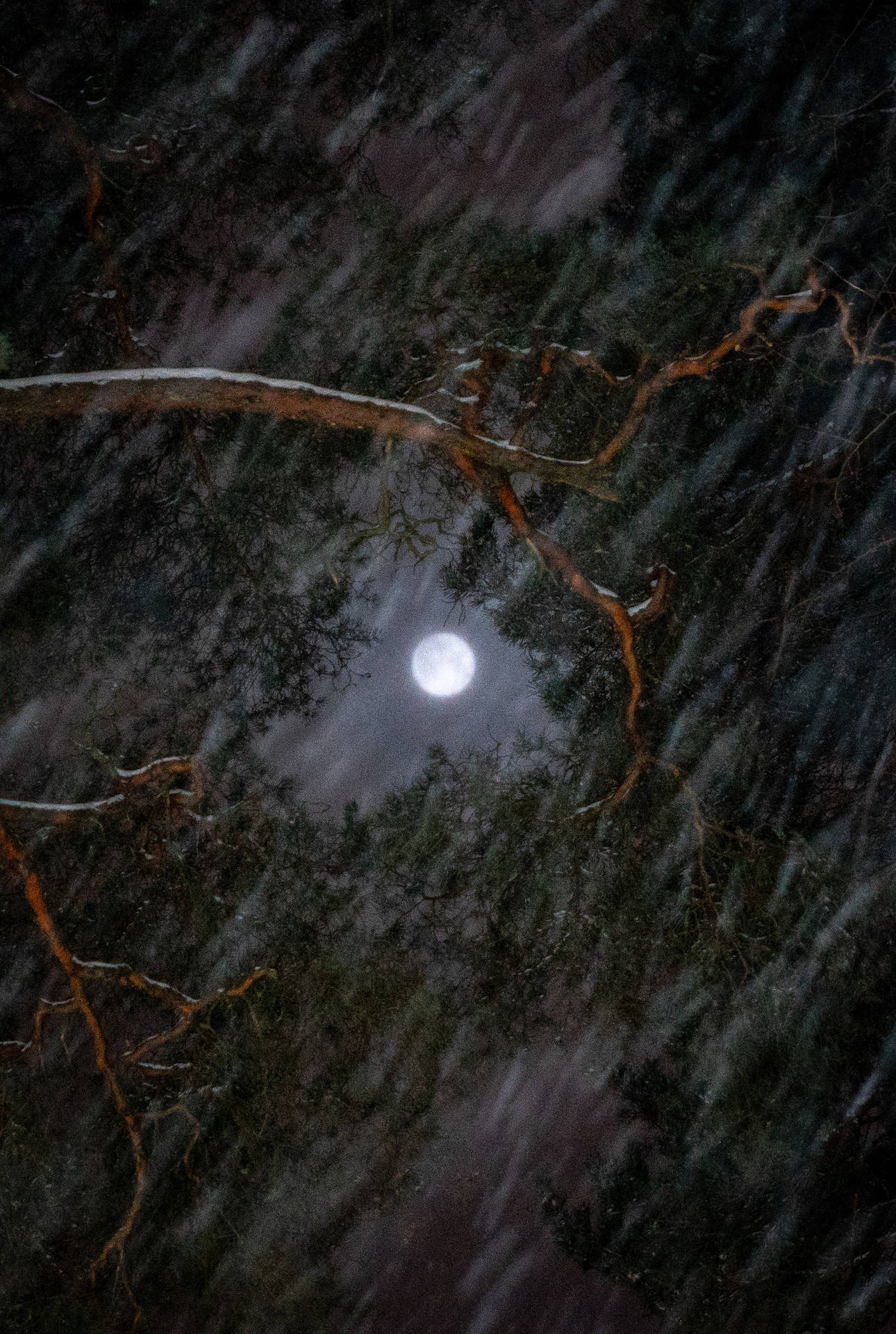 Full Moon On A Storm Background