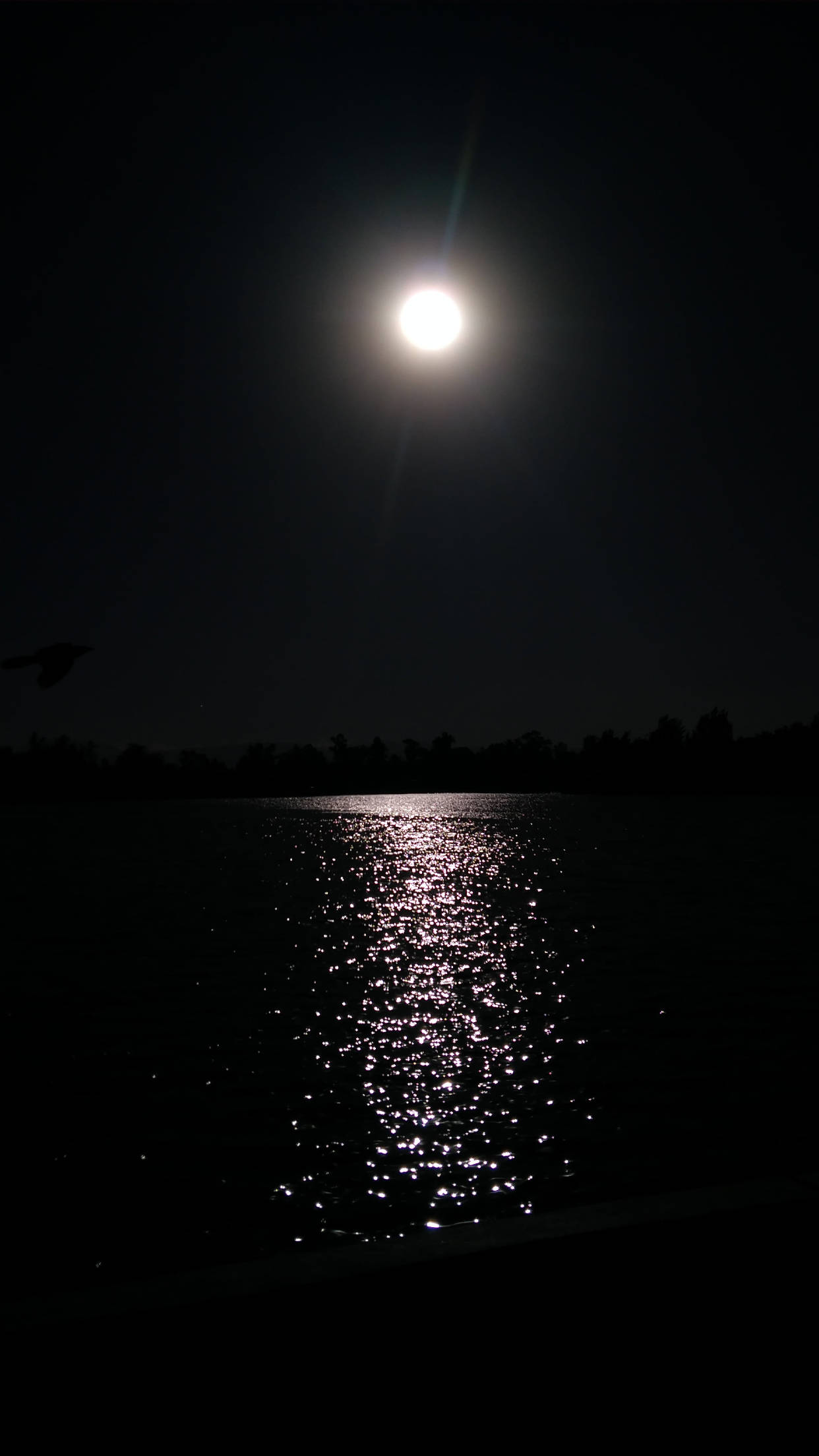 Full Moon On Black Iphone 6 Plus Background