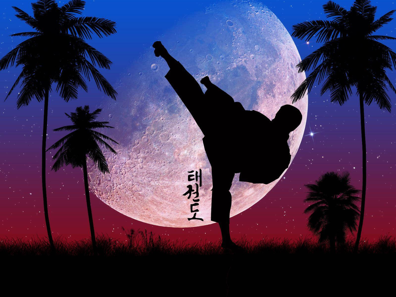 Full Moon Taekwondo Graphic Art Background