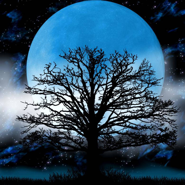 Full Moonlight With Tree Silhouette Background