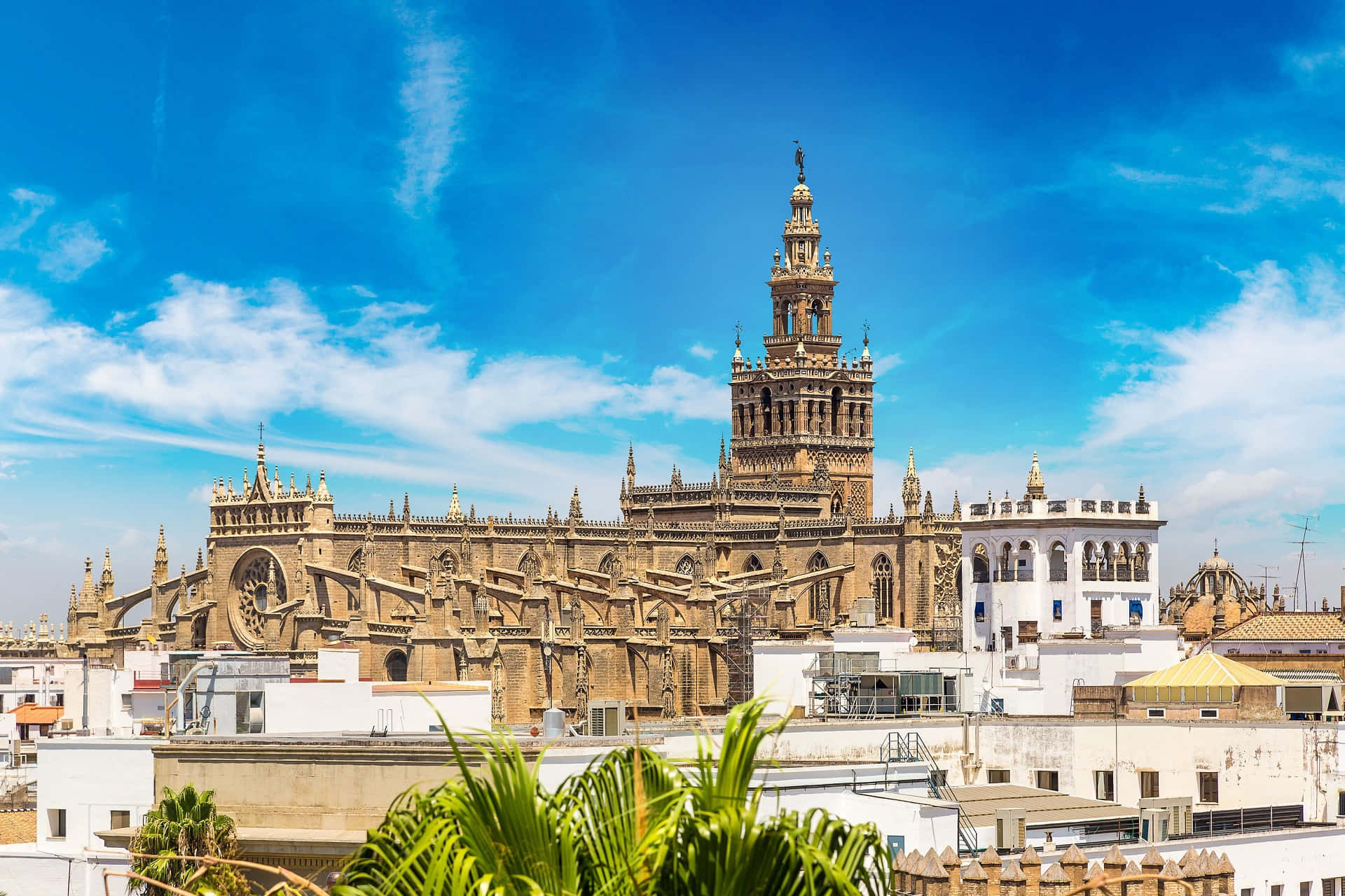 Full Photo Of Seville Cathedral Background