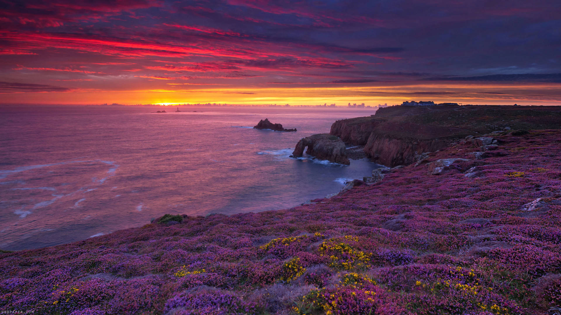 Full Screen 4k Flowers Field And Ocean Background