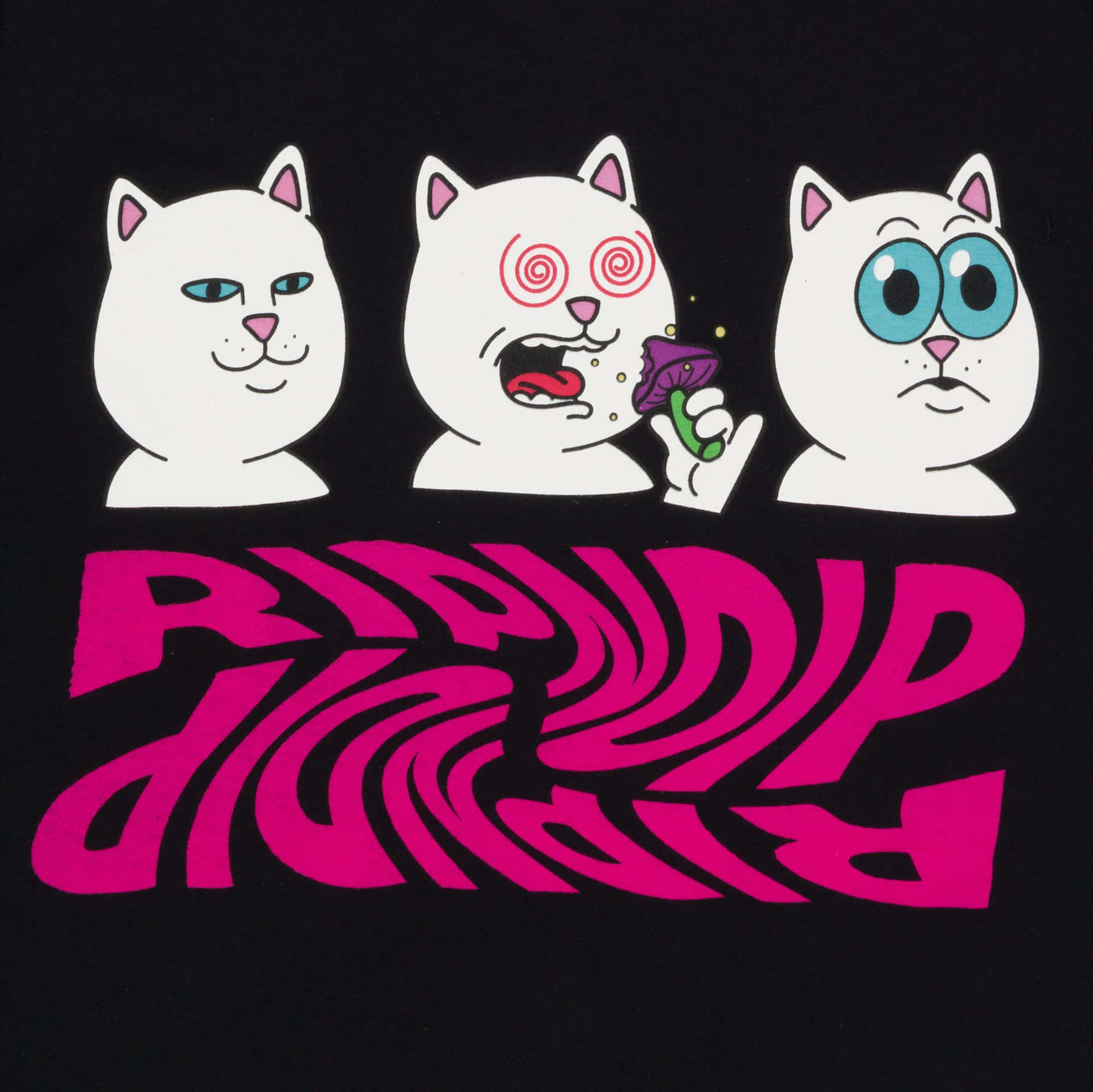 Fun, Hip And Happening Style With Ripndip