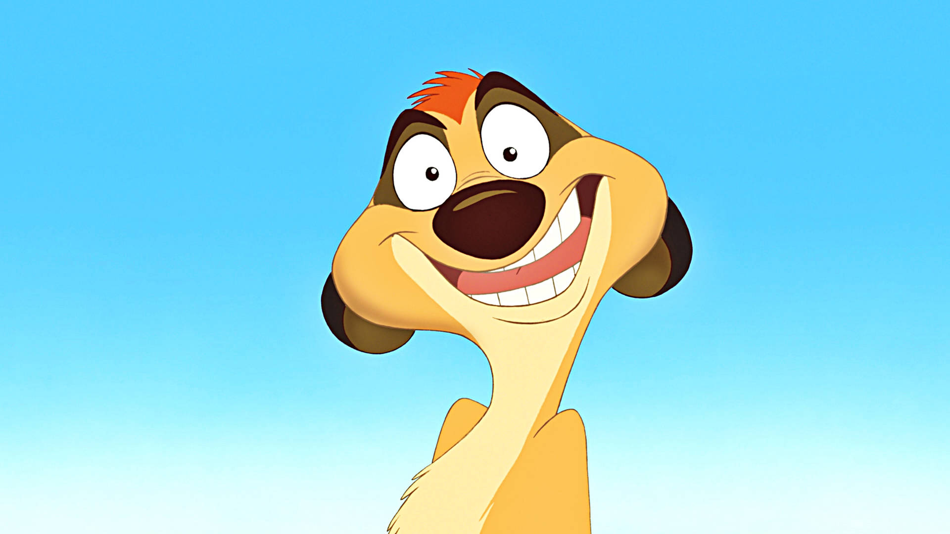 Fun Timon Smile Background