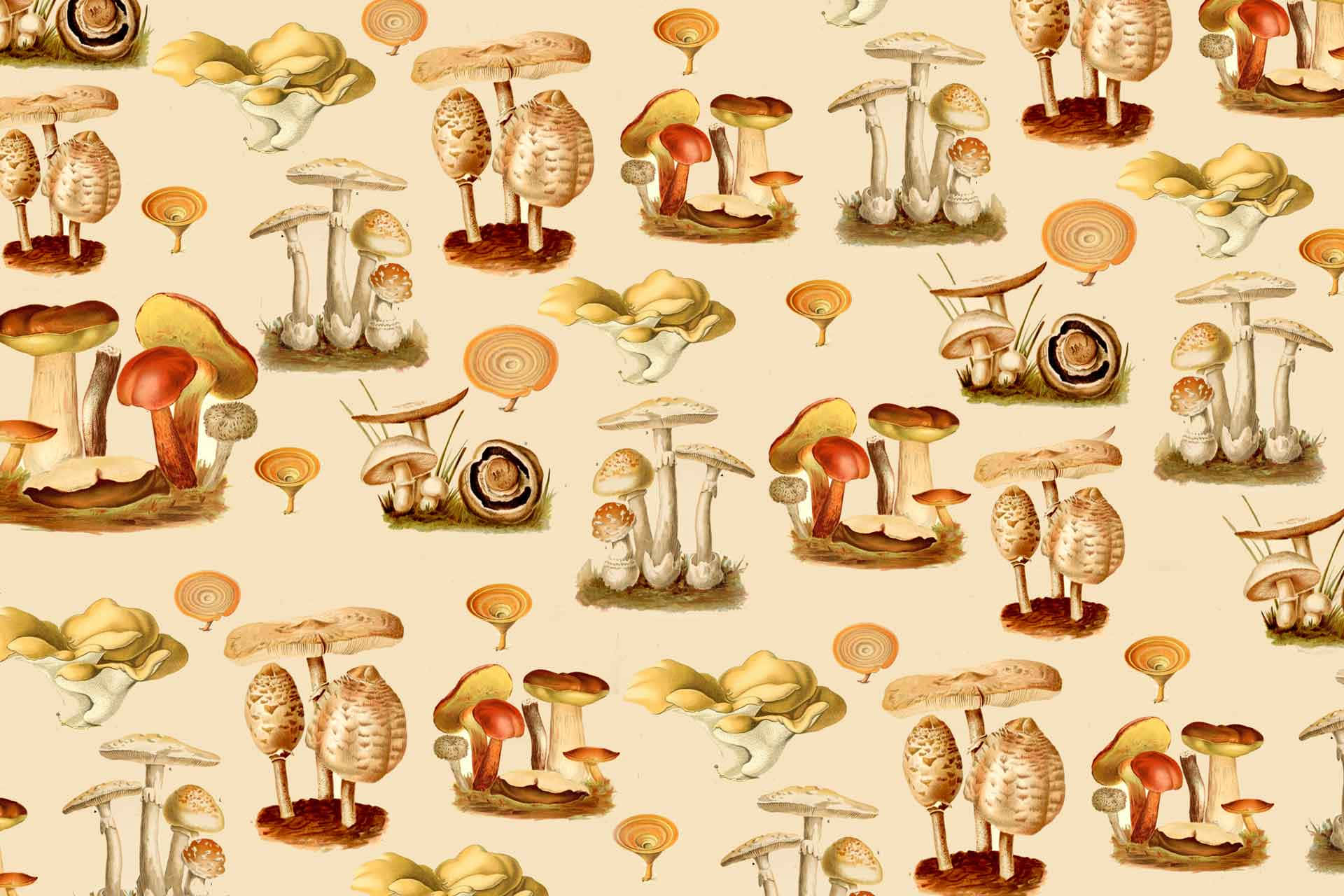 Fungus Vintage Poster Digital Art