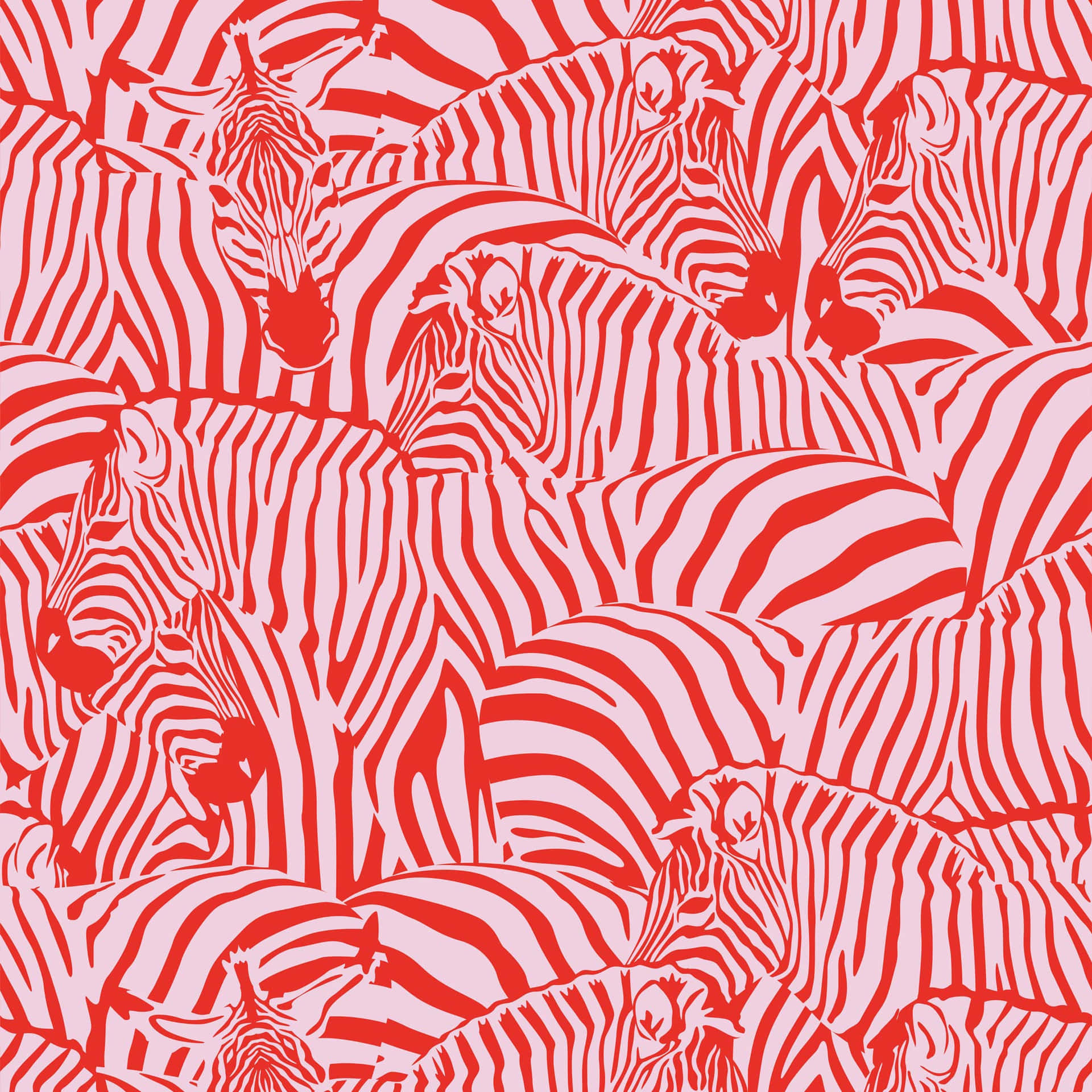 Funky, Bold, And Unique Pink Zebra Decor Background
