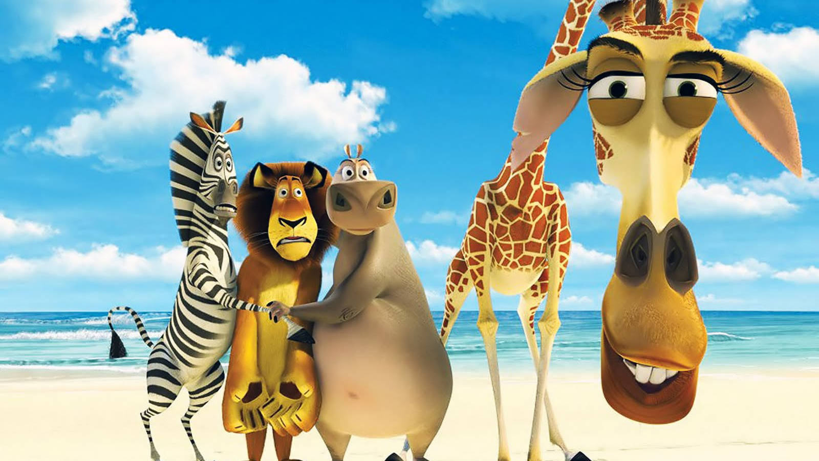 Funny Anime Madagascar Background