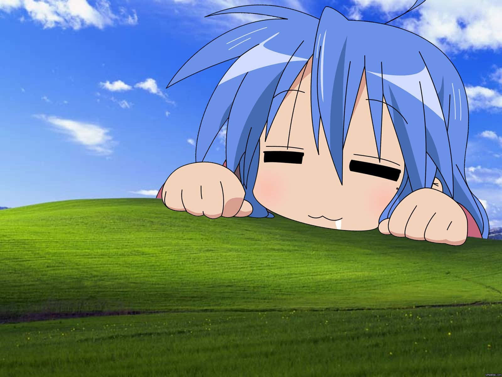 Funny Anime Pfp Sleepy Background