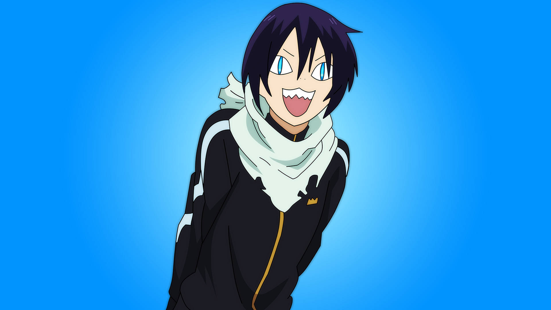 Funny Anime Yato's Cat Face Background