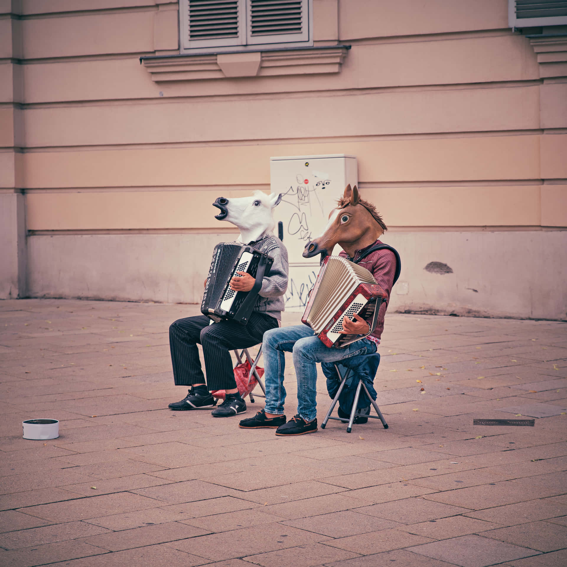 Funny Clean Horses Reading Background