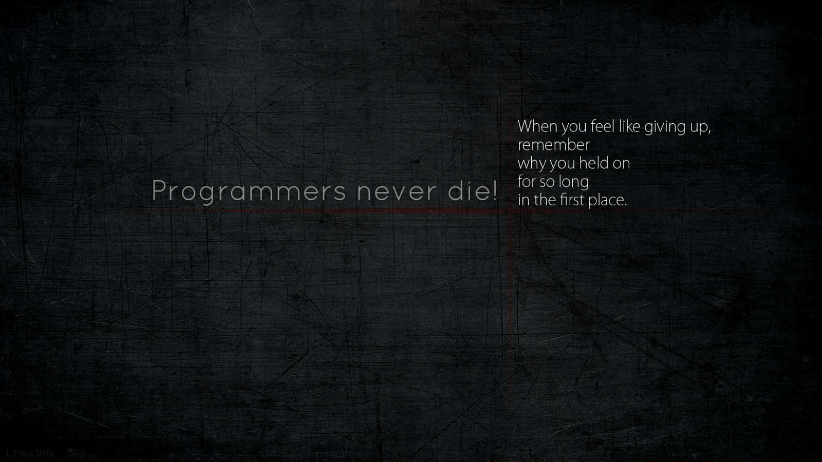 Funny Coding Programmers Never Die Background