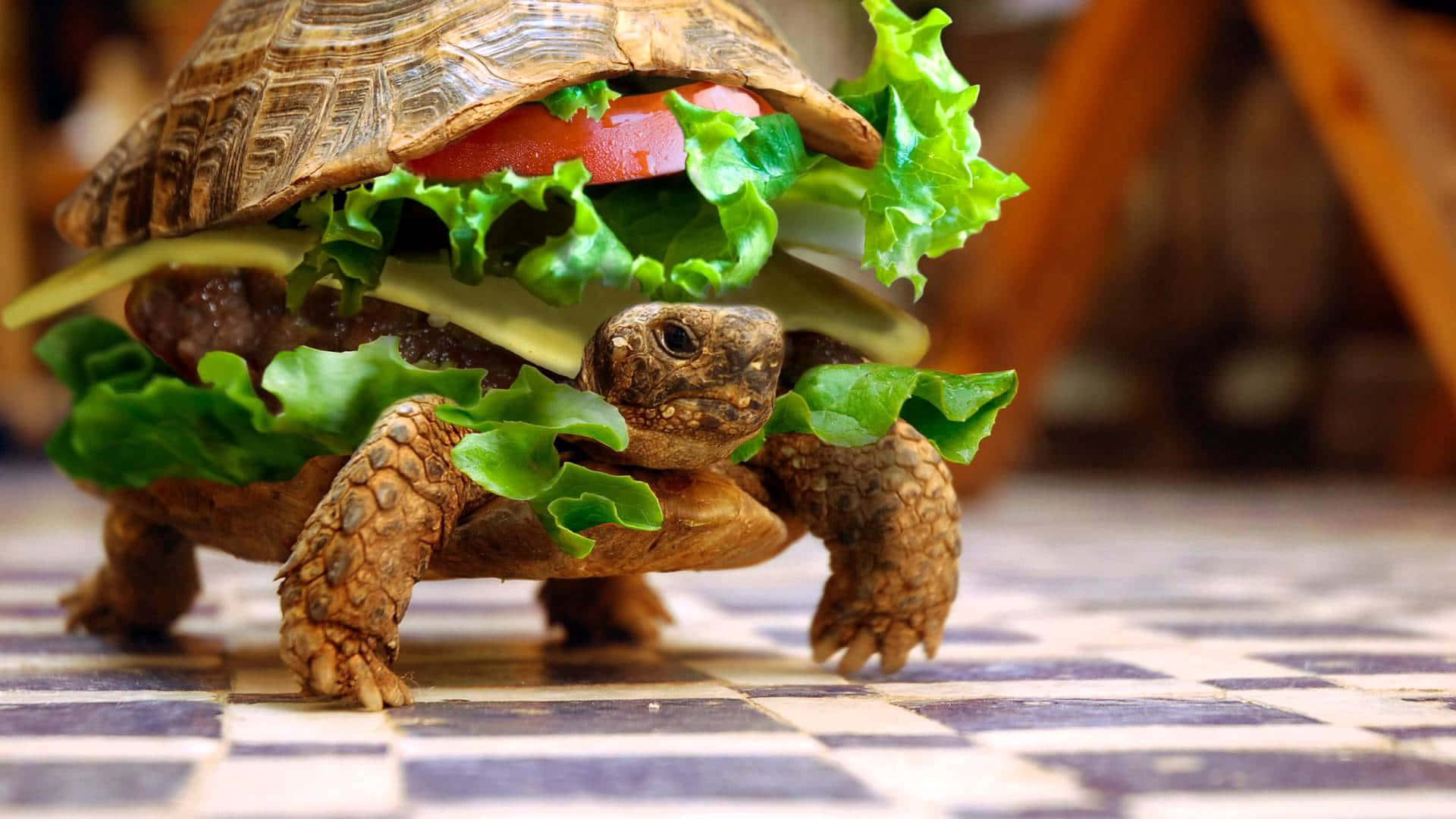 Funny Cute Animals Turtle Burger Attire Background