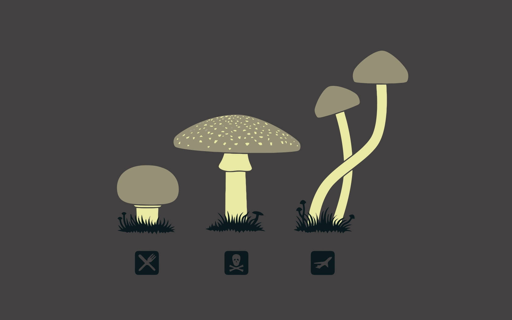 Funny Desktop Mushrooms Background