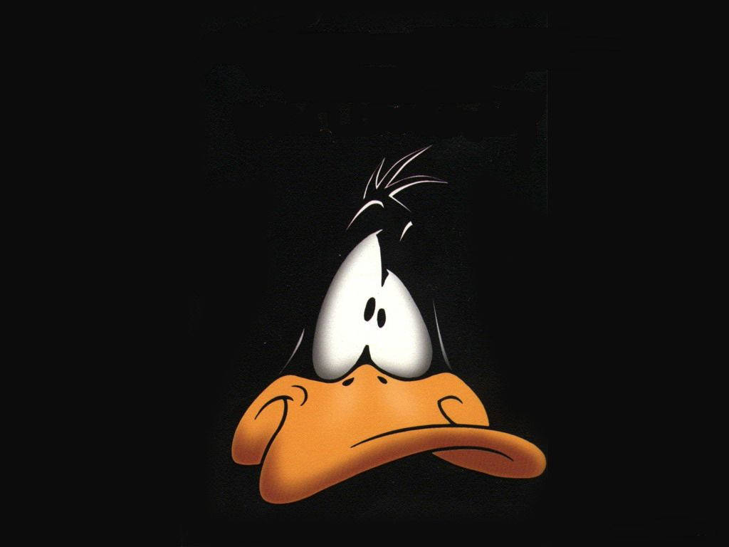 Funny Face Daffy Duck Background