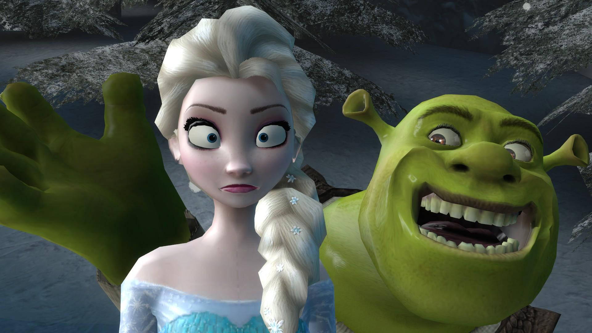 Funny Faces Shrek With Elsa