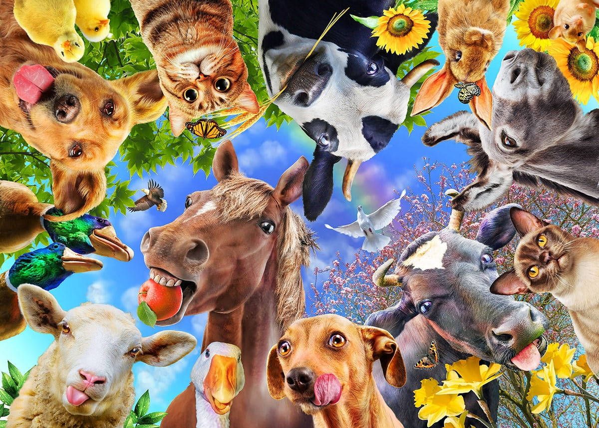 Funny Farm Animals Wacky Faces Background