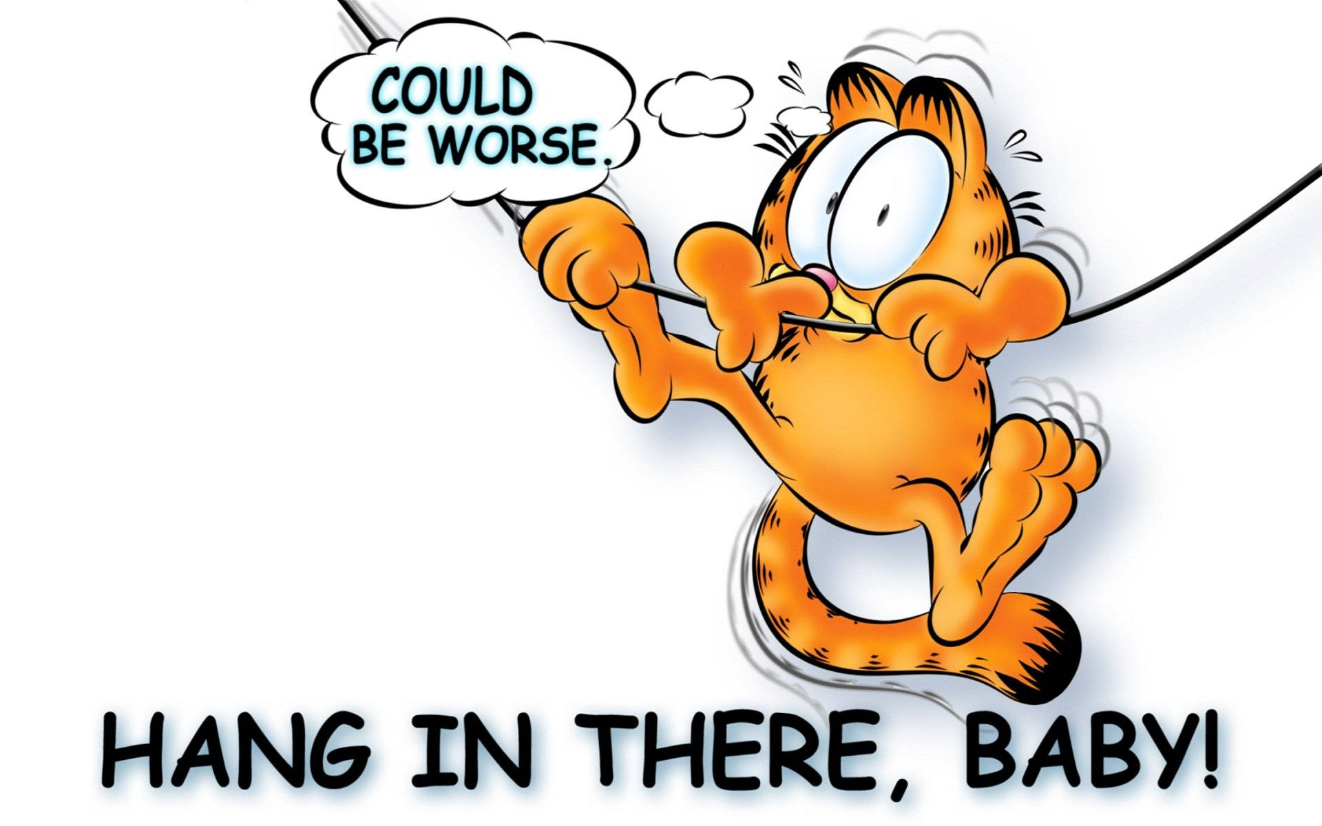 Funny Garfield Hang In There