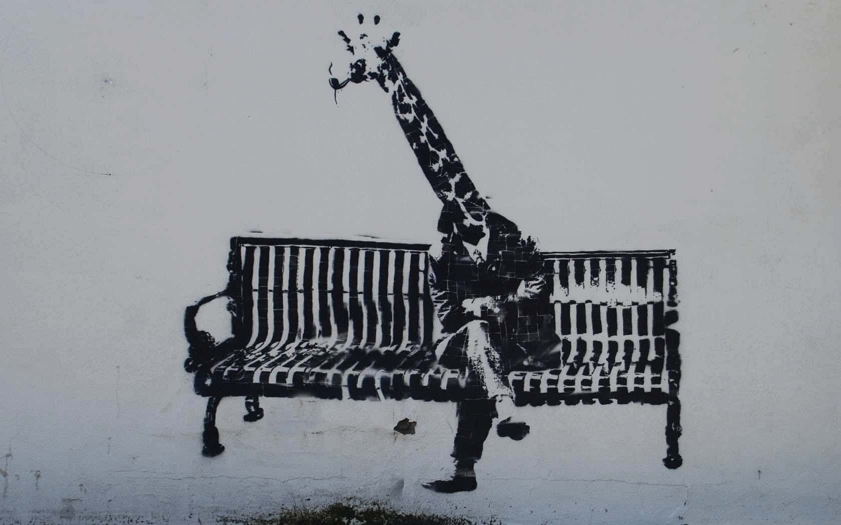 Funny Giraffe Connected To A Human Body Background